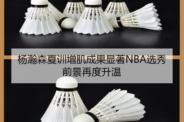 杨瀚森夏训增肌成果显著NBA选秀前景再度升温（LEDONG.COM）