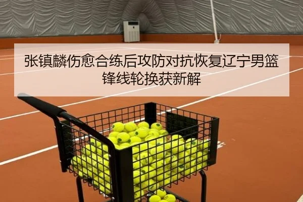 张镇麟伤愈合练后攻防对抗恢复辽宁男篮锋线轮换获新解（LEDONG.COM）
